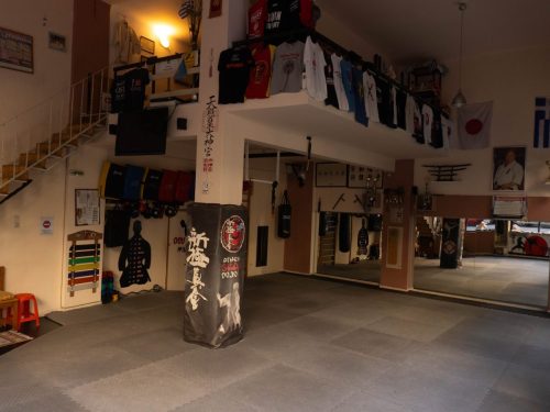 Shinkyokushin-Karate-Skapi-dojo-10