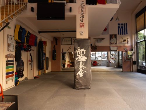 Shinkyokushin-Karate-Skapi-dojo-2