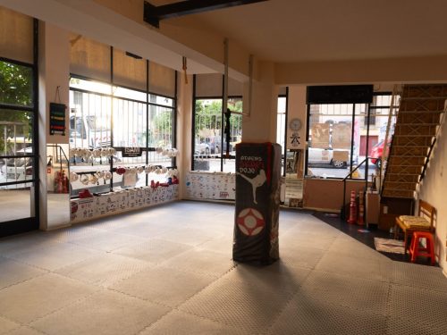 Shinkyokushin-Karate-Skapi-dojo-20