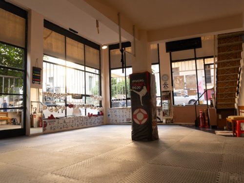 Shinkyokushin-Karate-Skapi-dojo-21