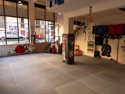Shinkyokushin-Karate-Skapi-dojo-29