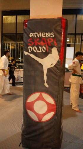 Shinkyokushin-Karate-Skapi-dojo-43