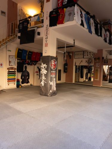 Shinkyokushin-Karate-Skapi-dojo-6