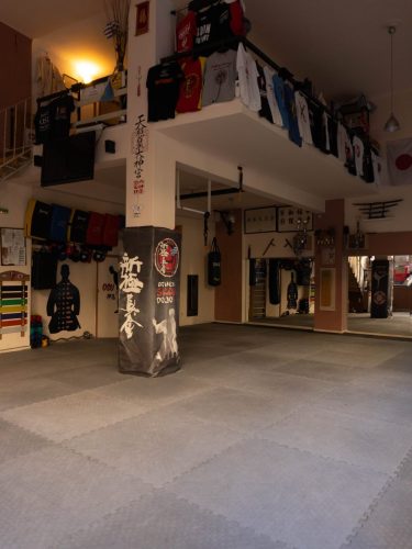 Shinkyokushin-Karate-Skapi-dojo-7