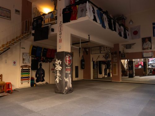 Shinkyokushin-Karate-Skapi-dojo-8