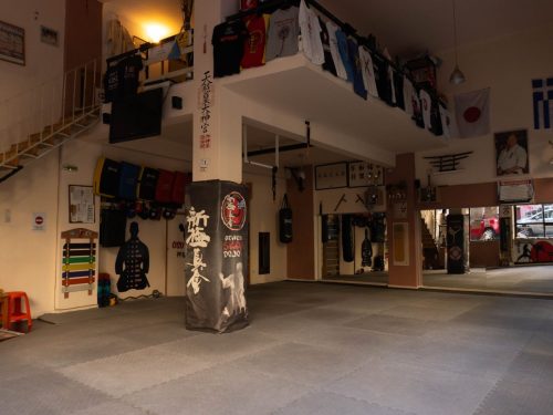 Shinkyokushin-Karate-Skapi-dojo-9